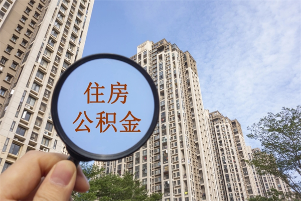 福鼎个人公积金去哪儿取（住房公积金个人到哪里提取）